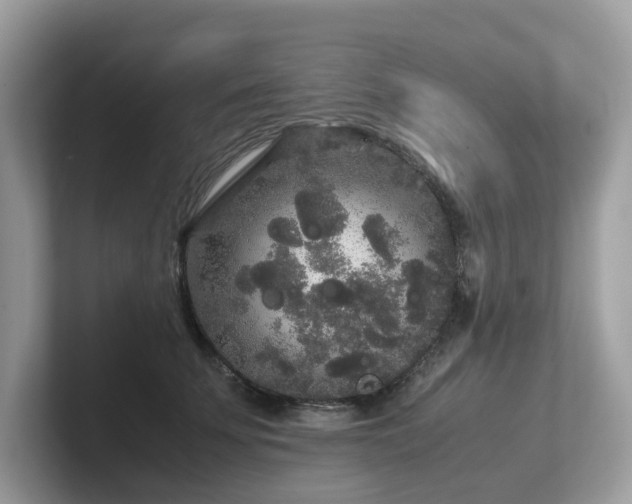X0000102300707200807251435