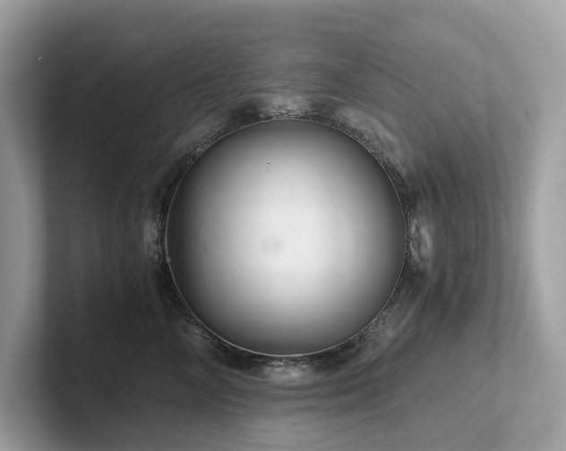 X0000102300714200807251435
