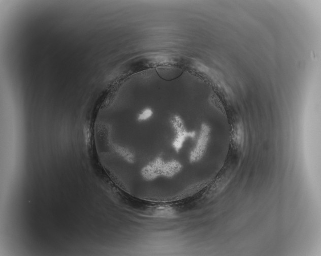 X0000102300715200807251435