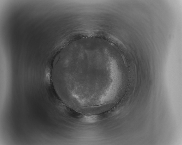 X0000102300720200807251435