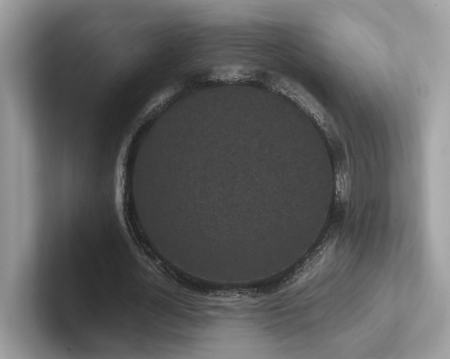 X0000102300724200807251434
