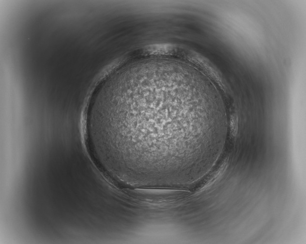 X0000102300725200807251434
