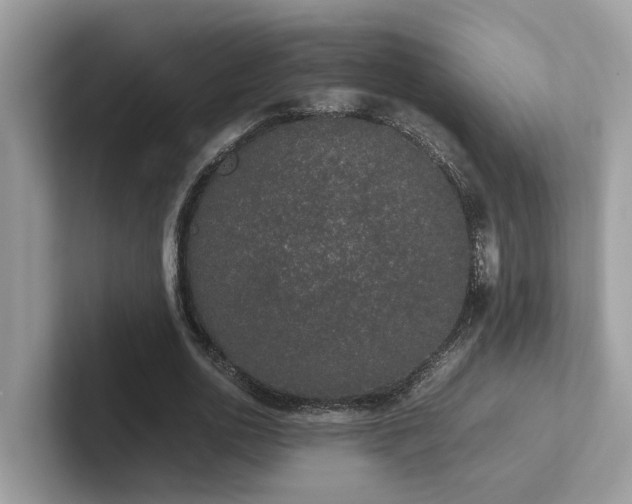 X0000102300726200807251434