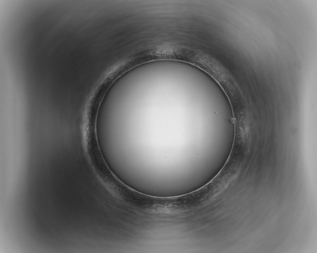 X0000102300728200807251434