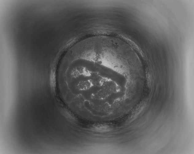 X0000102300729200807251434