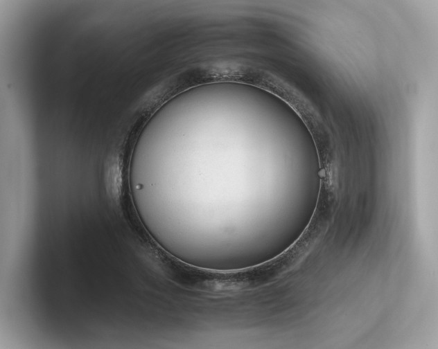 X0000102300733200807251434