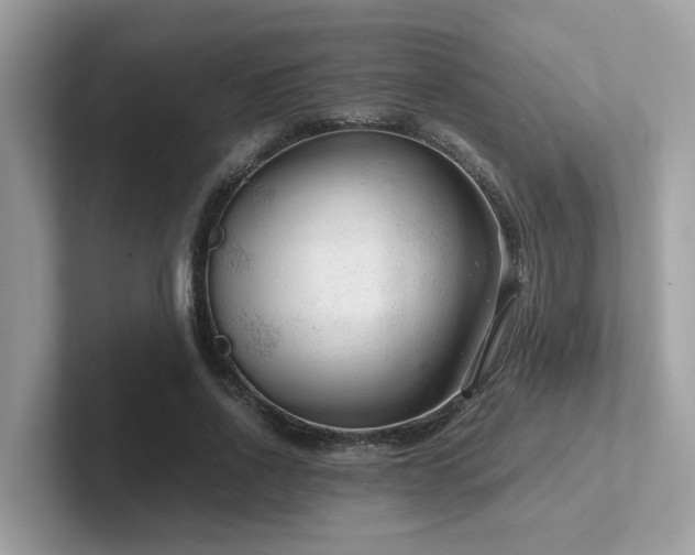 X0000102300734200807251434