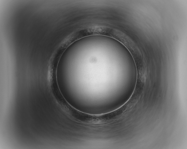 X0000102300735200807251434