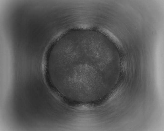 X0000102300736200807251434