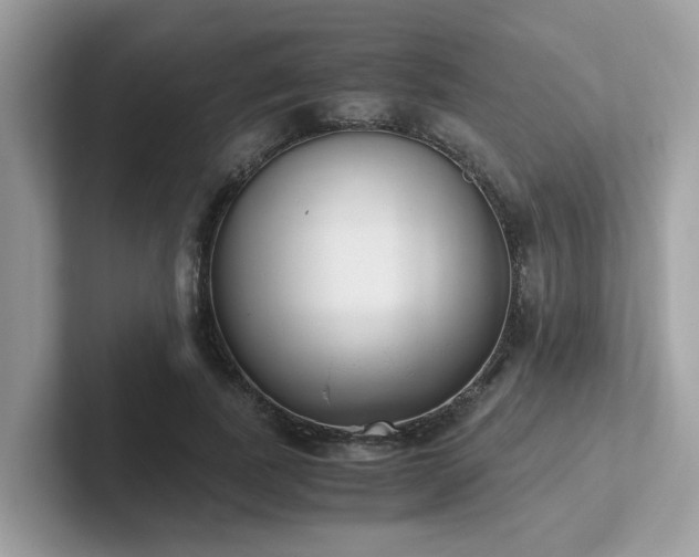 X0000102300739200807251434