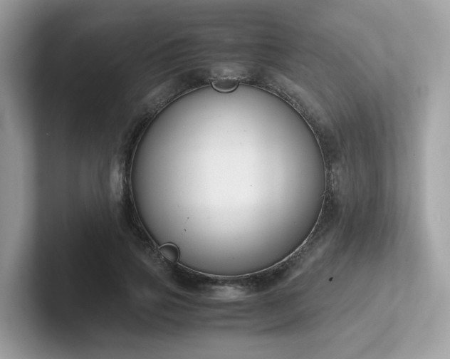 X0000102300741200807251434