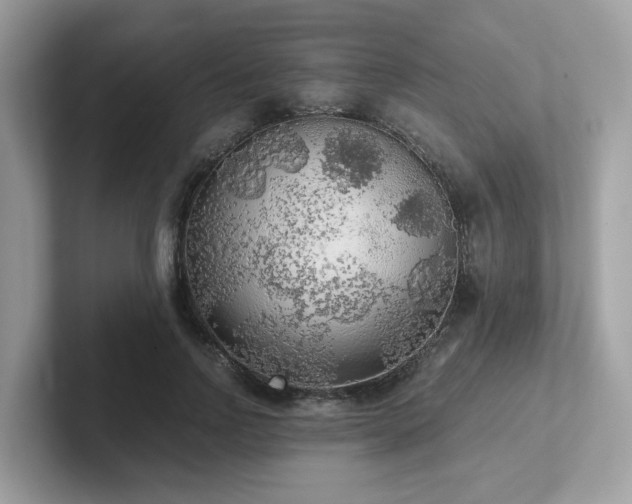 X0000102300742200807251434
