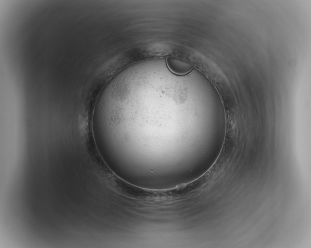 X0000102300745200807251434