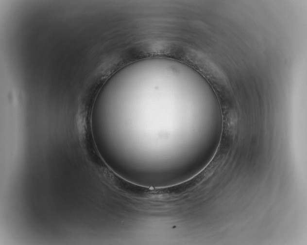 X0000102300746200807251435