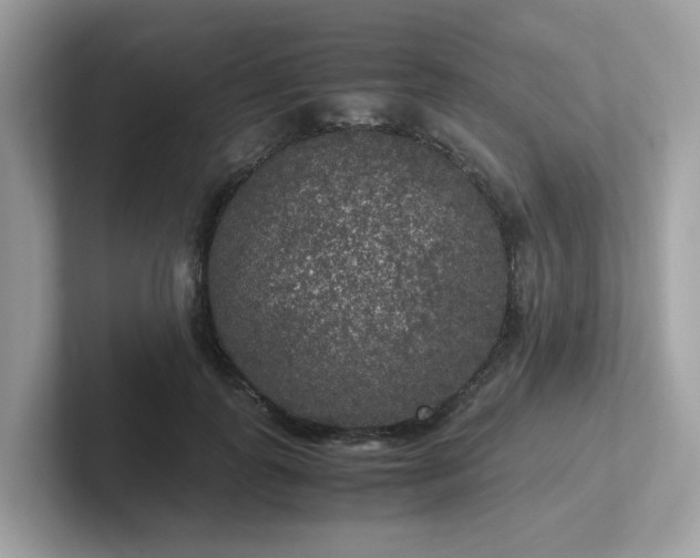 X0000102300747200807251435
