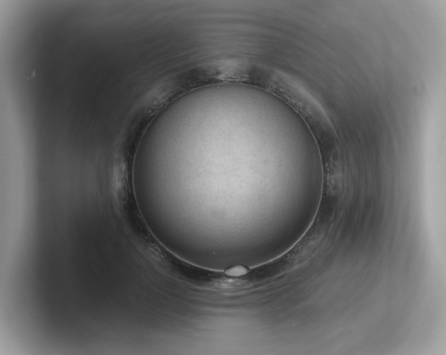 X0000102300748200807251435