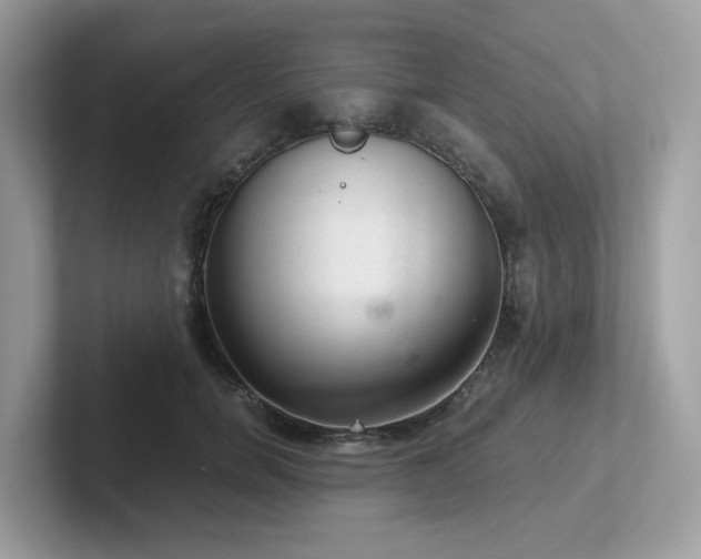 X0000102300750200807251435