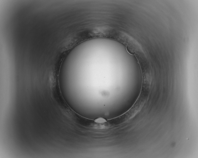 X0000102300751200807251435