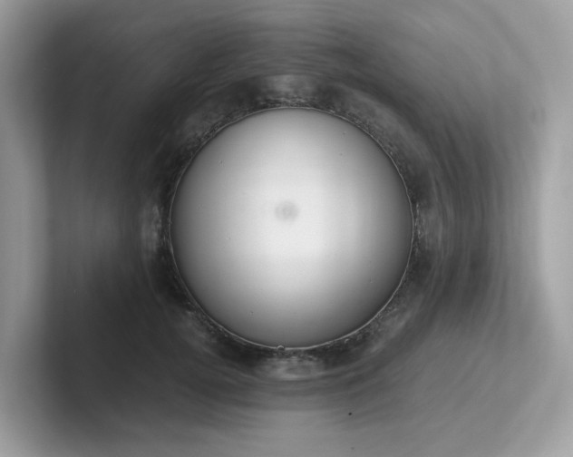 X0000102300752200807251435