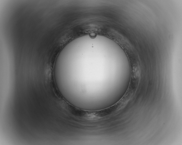 X0000102300753200807251435