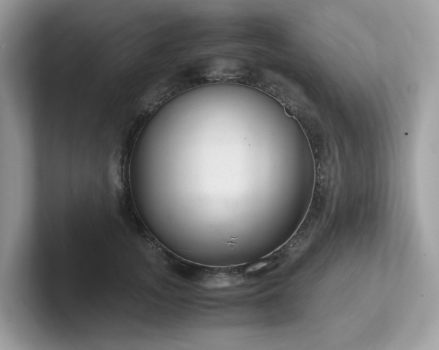 X0000102300755200807251435