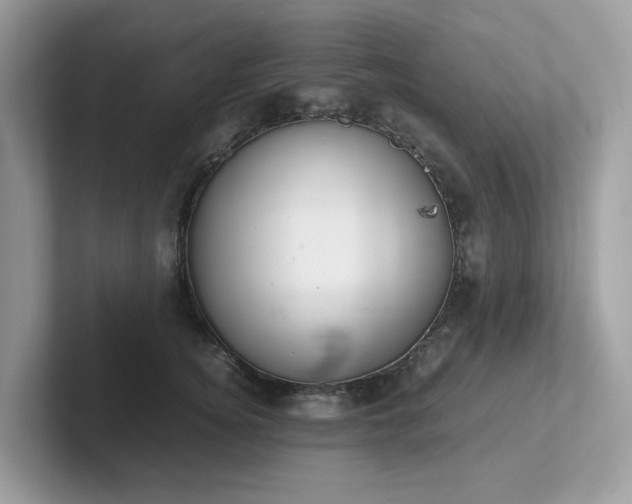 X0000102300756200807251435