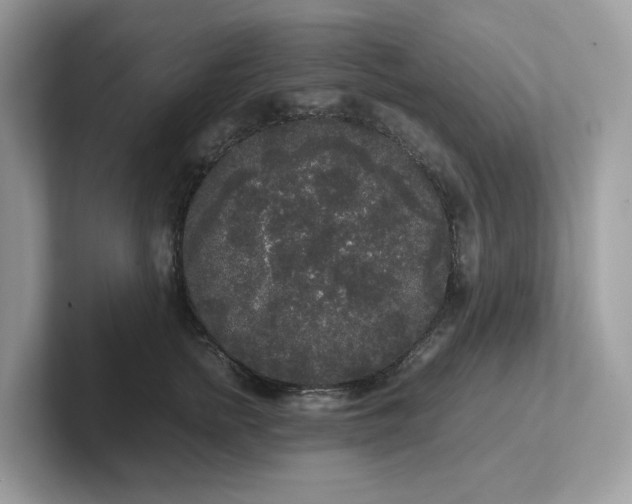 X0000102300758200807251435
