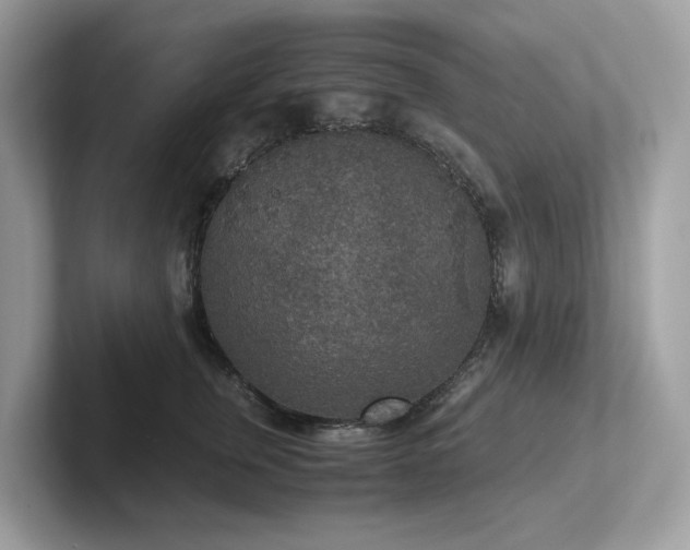 X0000102300759200807251435