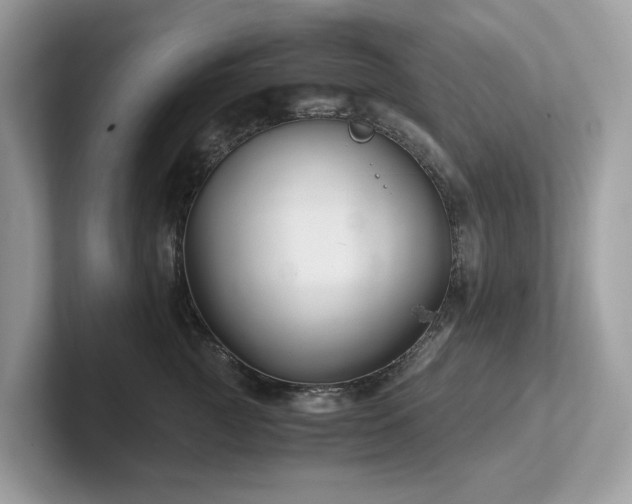 X0000102300761200807251435