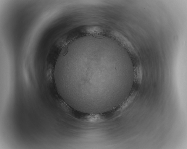 X0000102300762200807251435