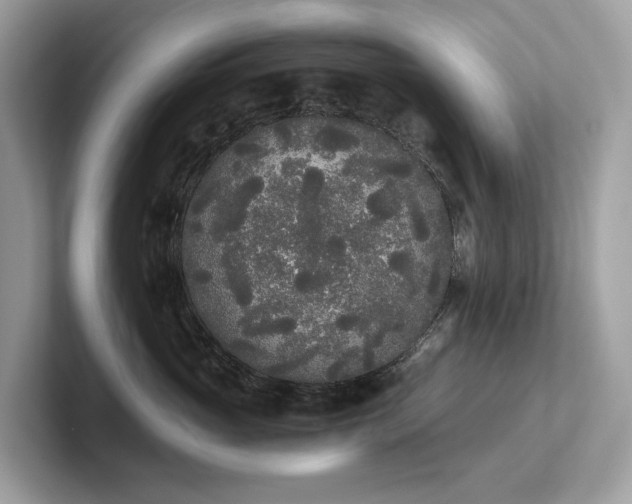 X0000102300765200807251435
