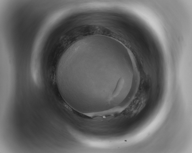 X0000102300766200807251435