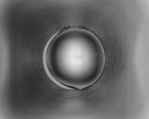 X0000102300768200807251435