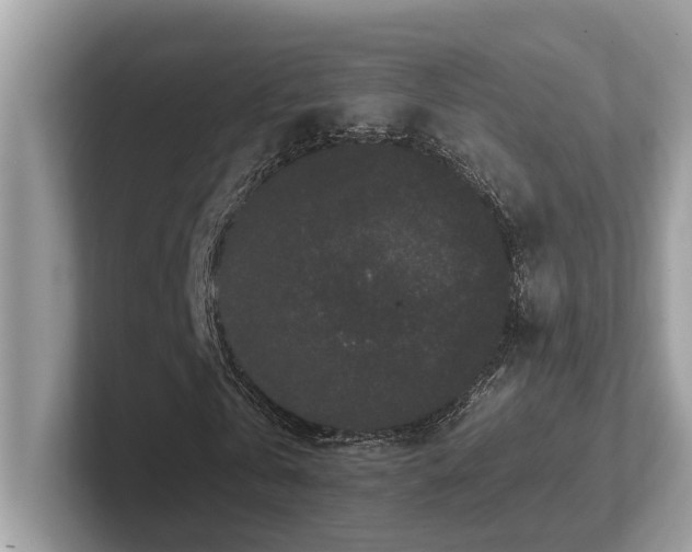 X0000102300769200807251434