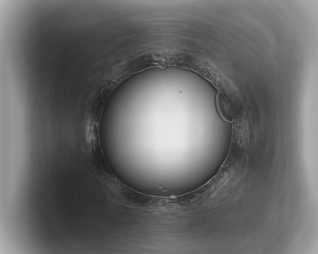X0000102300770200807251434
