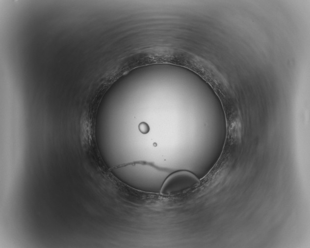 X0000102300772200807251434