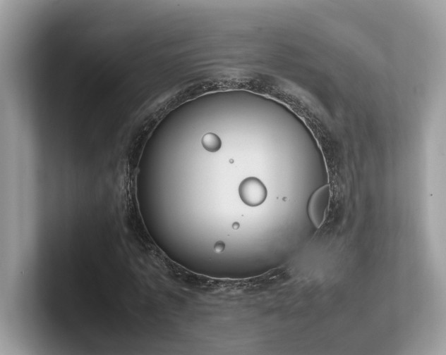 X0000102300773200807251434