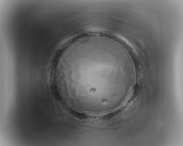 X0000102300775200807251434