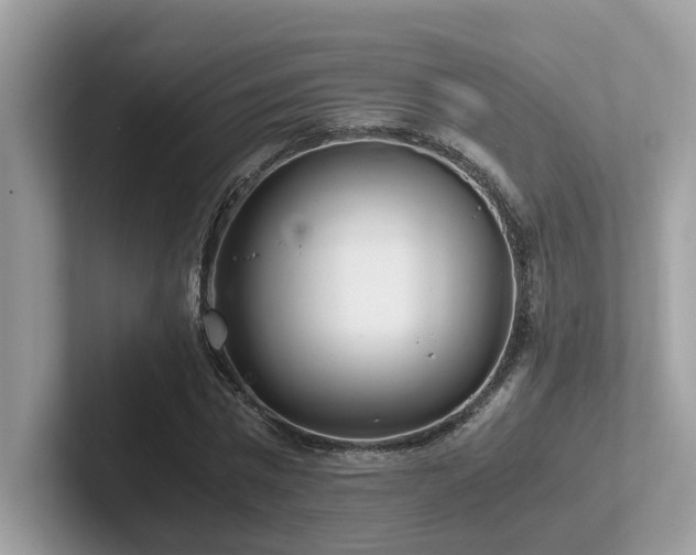 X0000102300777200807251434