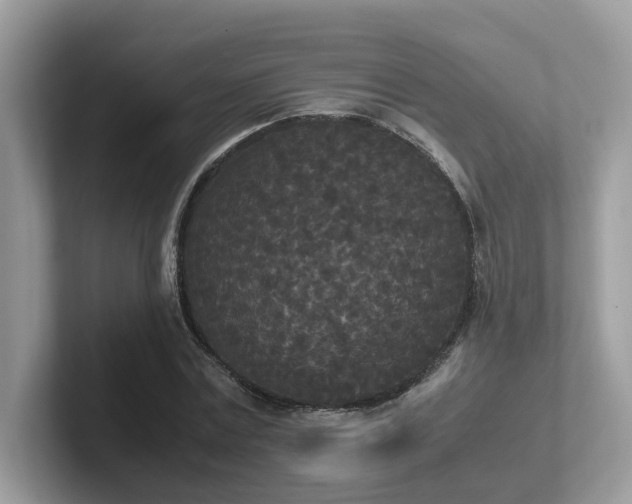 X0000102300779200807251434