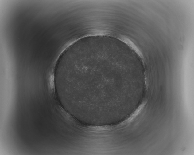 X0000102300781200807251434