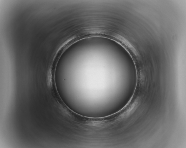 X0000102300782200807251434