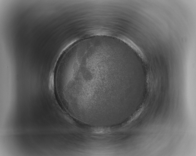X0000102300790200807251434