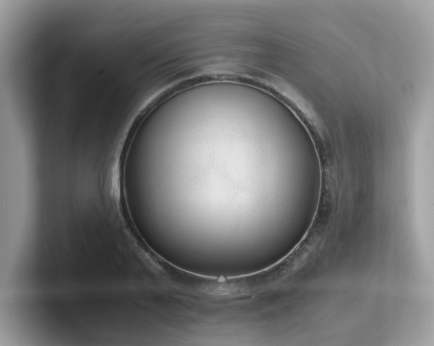 X0000102300791200807251434