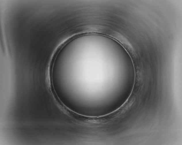 X0000102300792200807251434