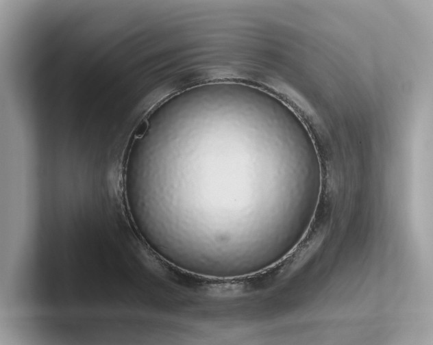 X0000102300793200807251434