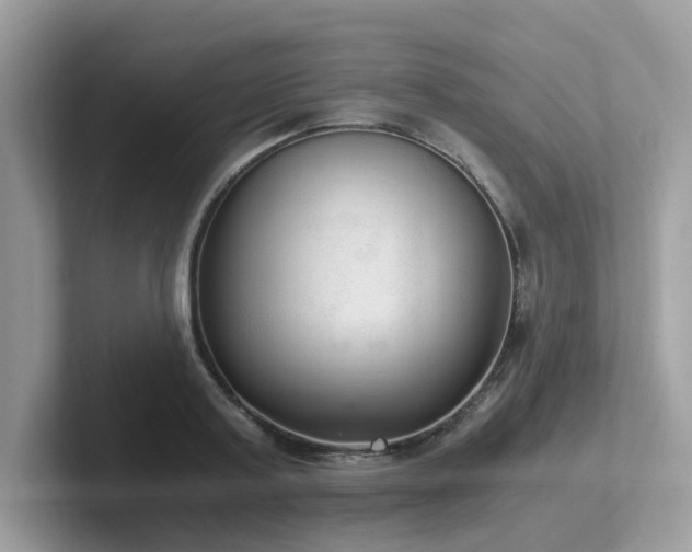 X0000102300795200807251434