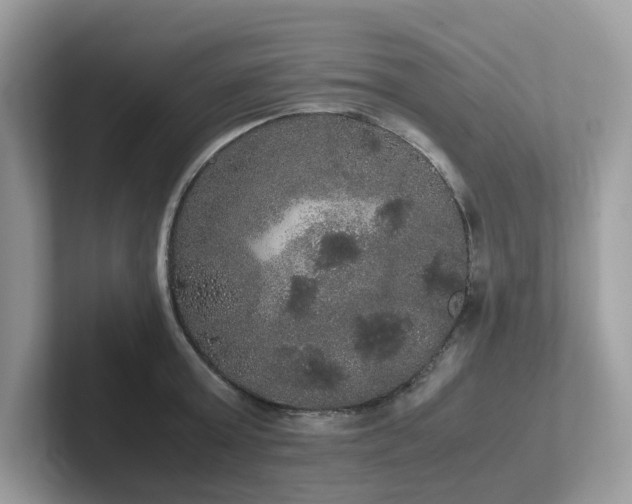 X0000102300803200807251434