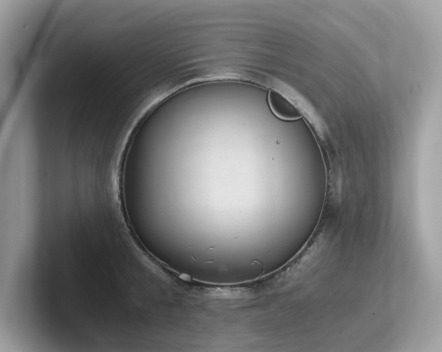 X0000102300805200807251434