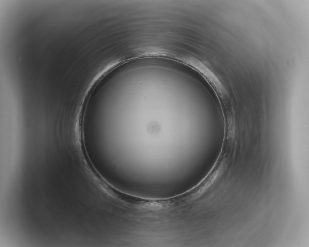 X0000102300806200807251434